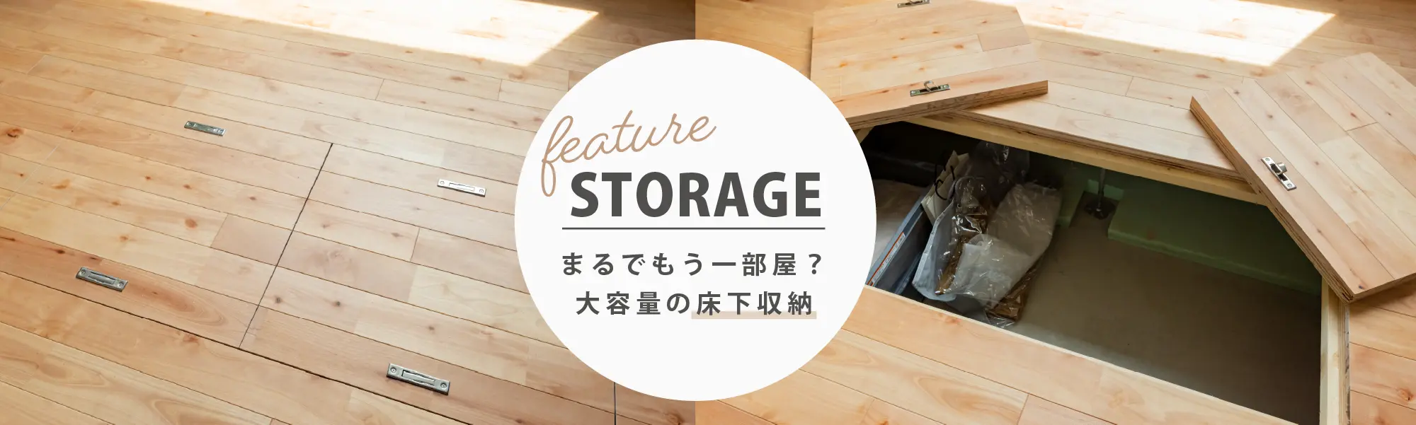 ピックアップ画像